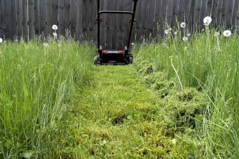 Lawn Mowing