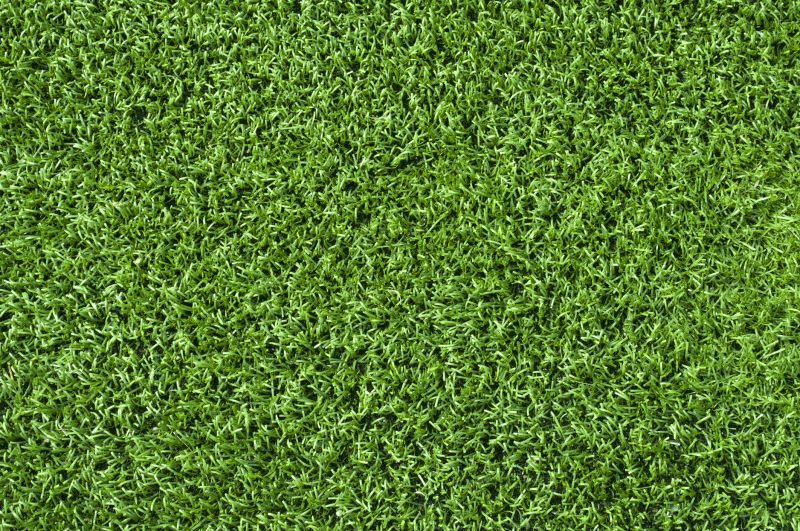 Healthy Green Turf