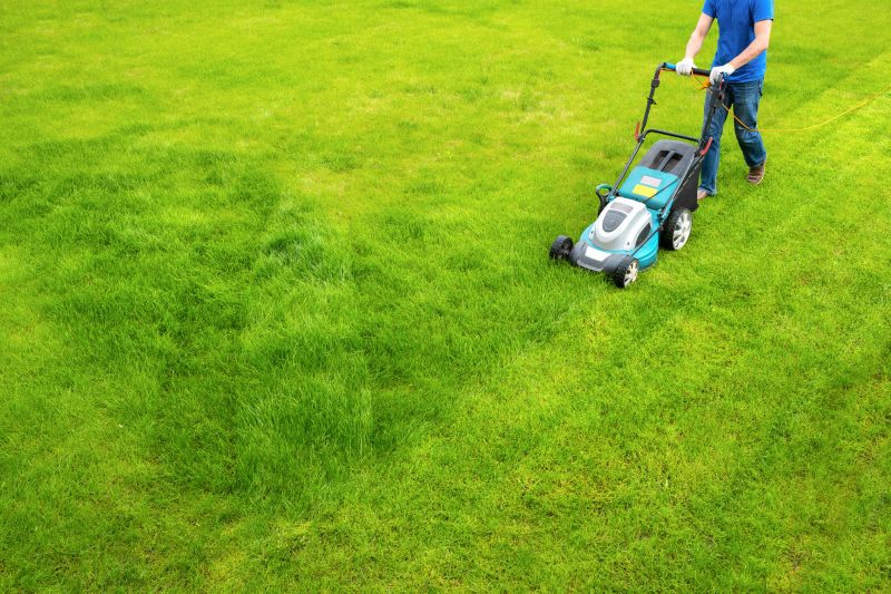 Commercial Lawn Maintenance