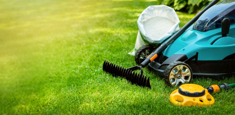 Winter Lawn Maintenance