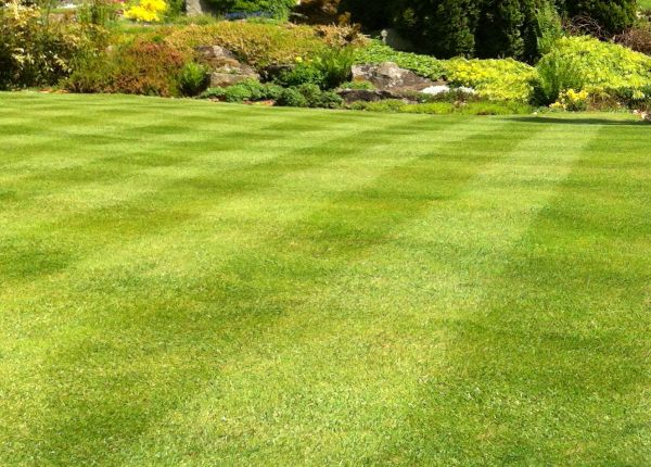 Cost of Commercial Grass Cutting in Jefferson City