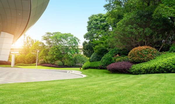 Cost of Commercial Lawn Mowing in Jefferson City