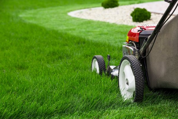 Cost of Mowing Service in Jefferson City