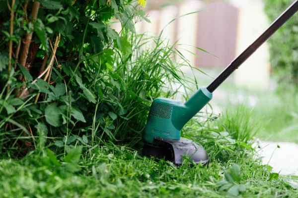 Cost of Weed Whacking in Jefferson City