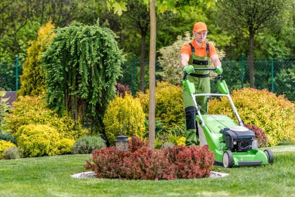 Cost of Yard Service in Jefferson City