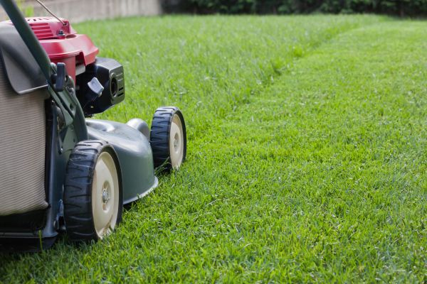 Cost of Residential Lawn Care in Jefferson City