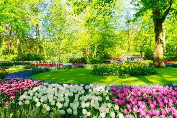 Cost of Spring Lawn Care in Jefferson City