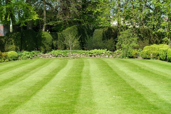 Cost of Grass Care Service in Jefferson City