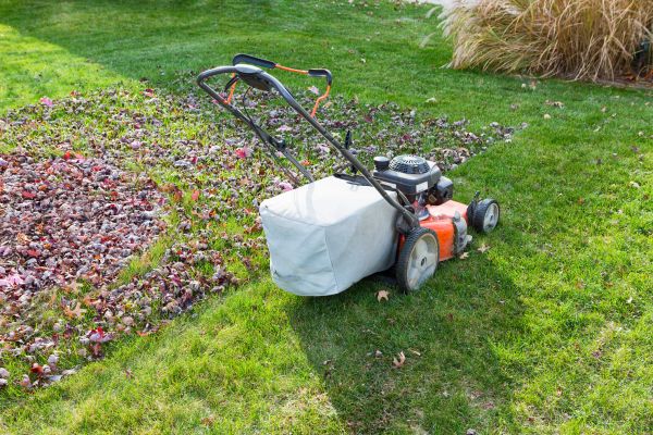 Cost of Seasonal Lawn Care in Jefferson City