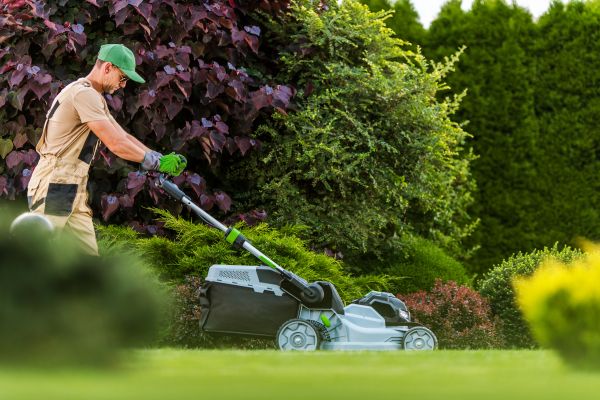 Cost of Lawn Management in Jefferson City