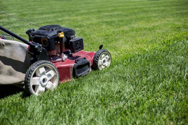 Cost of Routine Lawn Care in Jefferson City