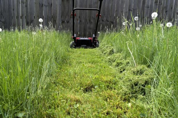 Cost of High Grass Mowing in Jefferson City