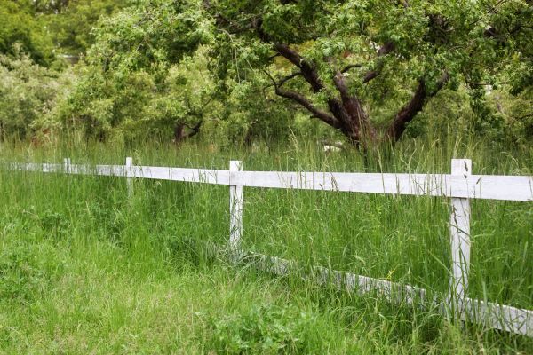 Cost of Fence Line Trimming in Jefferson City
