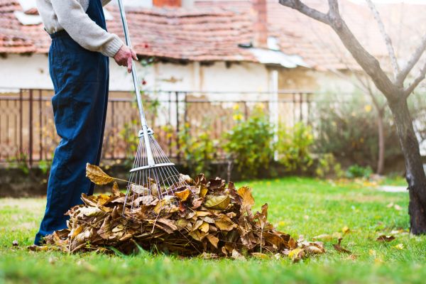 Cost of Routine Lawn Maintenance in Jefferson City