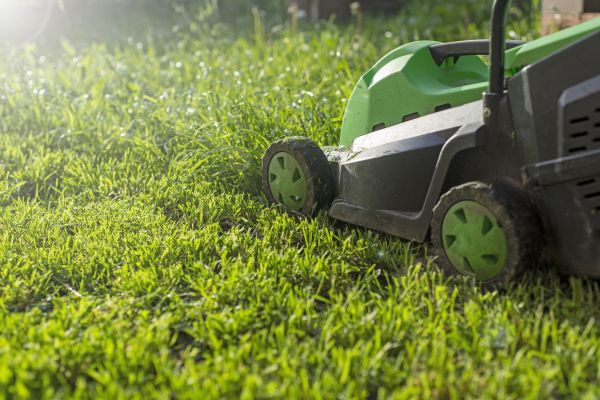 Cost of Lot Mowing in Jefferson City