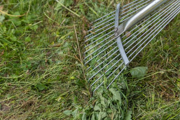 Cost of Thatch Raking in Jefferson City