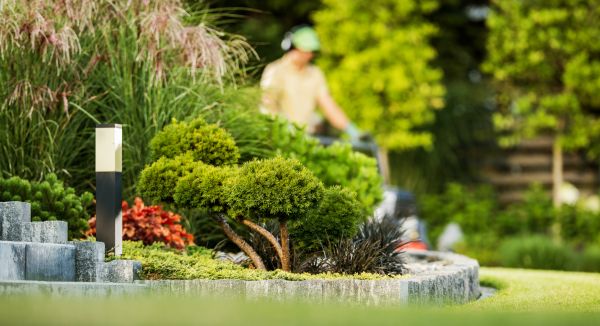 Cost of Residential Yard Maintenance in Jefferson City