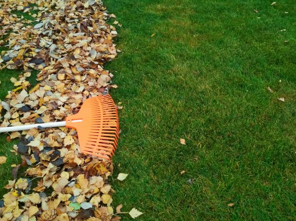 Cost of Fall Lawn Care in Jefferson City