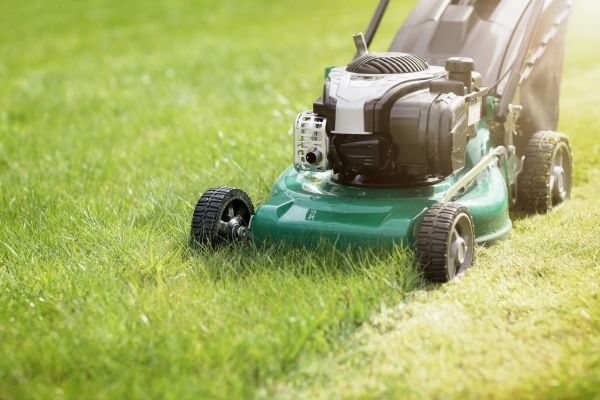 Cost of Spring Grass Trimming in Jefferson City