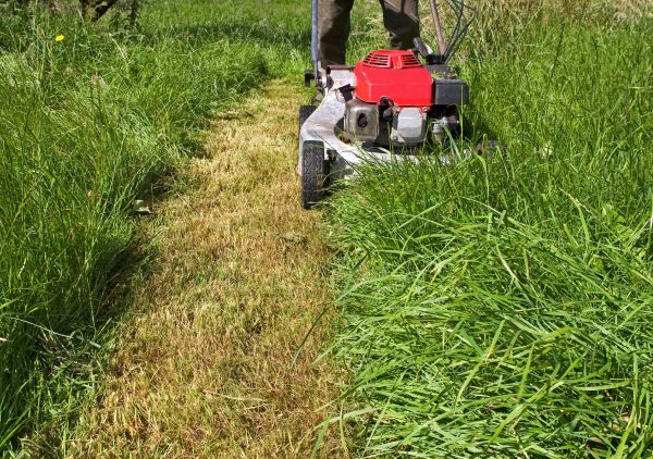 Cost of Leaf Mowing in Jefferson City