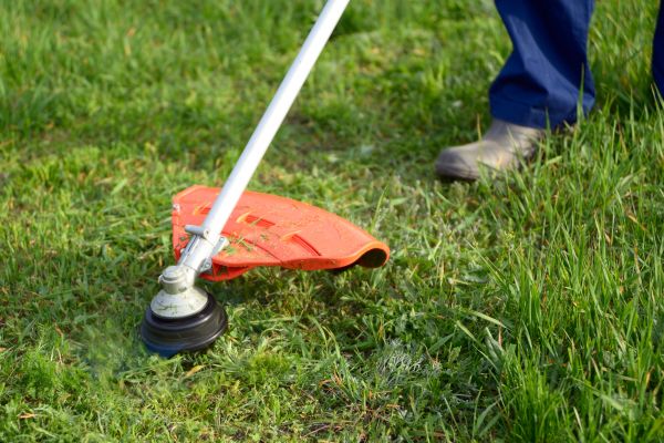 Cost of Lawn Weed Whacking in Jefferson City