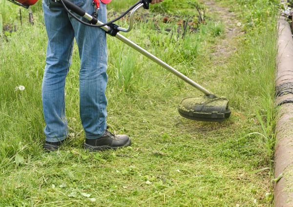 Cost of Tall Grass Trimming in Jefferson City